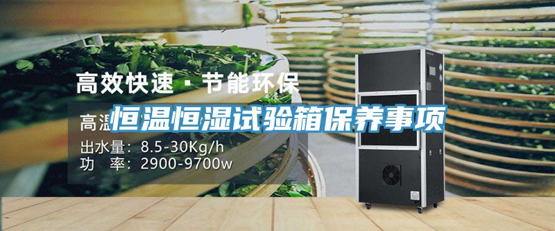 恒溫恒濕試驗箱保養(yǎng)事項