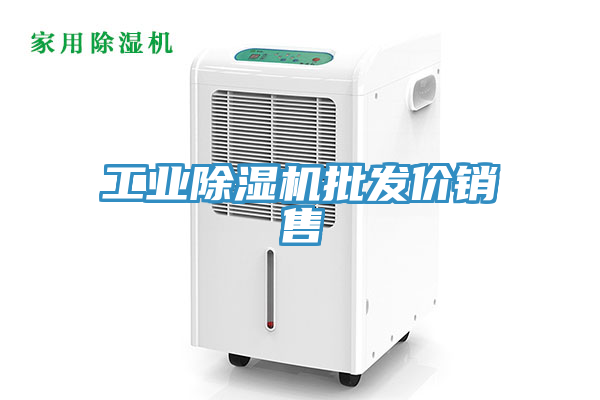 工業(yè)除濕機(jī)批發(fā)價銷售