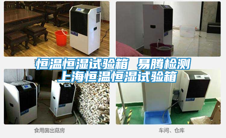 恒溫恒濕試驗(yàn)箱 易騰檢測(cè) 上海恒溫恒濕試驗(yàn)箱