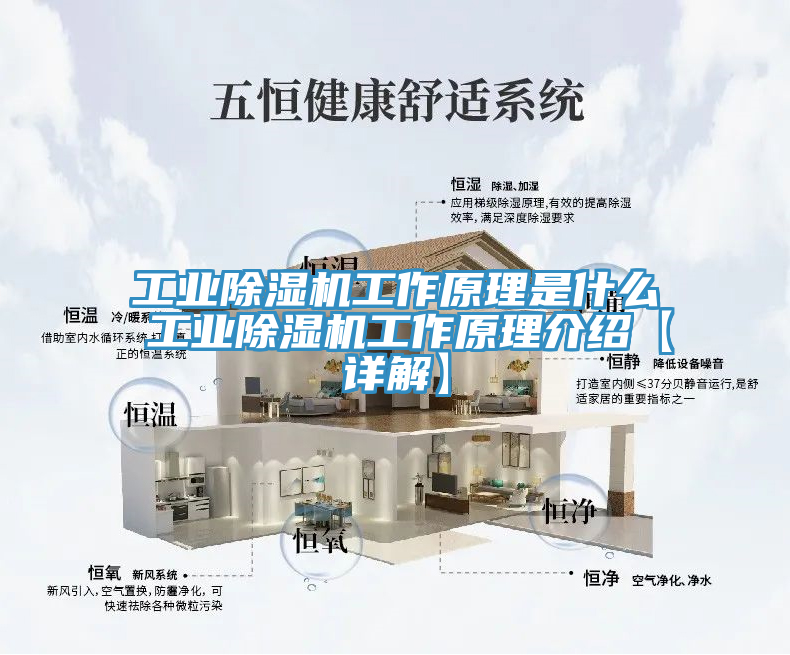 工業(yè)除濕機(jī)工作原理是什么 工業(yè)除濕機(jī)工作原理介紹【詳解】