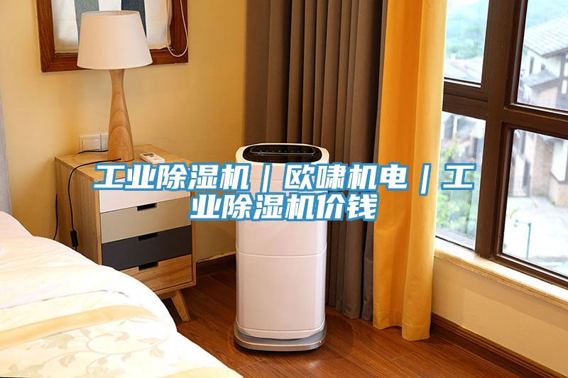 工業(yè)除濕機(jī)｜歐嘯機(jī)電｜工業(yè)除濕機(jī)價(jià)錢