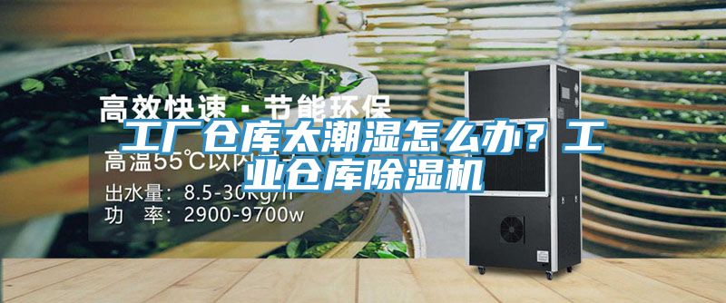 工廠倉庫太潮濕怎么辦？工業(yè)倉庫除濕機(jī)