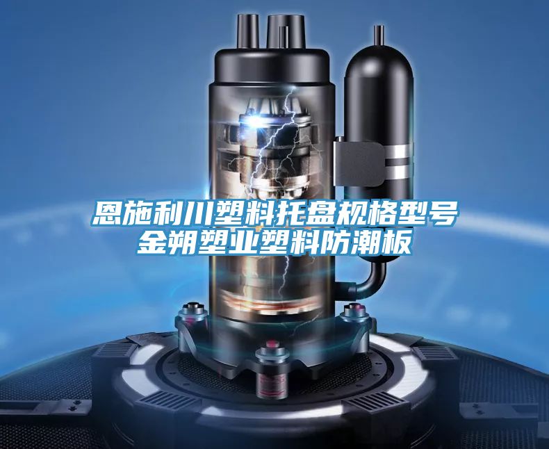 恩施利川塑料托盤(pán)規(guī)格型號(hào)金朔塑業(yè)塑料防潮板