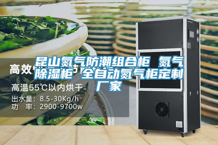 昆山氮?dú)夥莱苯M合柜 氮?dú)獬凉窆?全自動(dòng)氮?dú)夤穸ㄖ茝S家