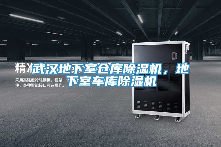 武漢地下室倉庫除濕機(jī)，地下室車庫除濕機(jī)