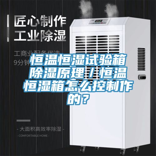 恒溫恒濕試驗(yàn)箱除濕原理／恒溫恒濕箱怎么控制作的？