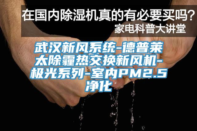 武漢新風(fēng)系統(tǒng)-德普萊太除霾熱交換新風(fēng)機(jī)-極光系列-室內(nèi)PM2.5凈化