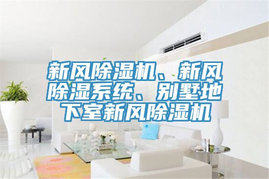 新風(fēng)除濕機(jī)、新風(fēng)除濕系統(tǒng)、別墅地下室新風(fēng)除濕機(jī)