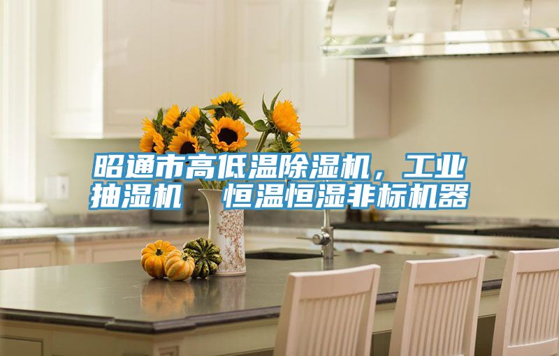 昭通市高低溫除濕機(jī)，工業(yè)抽濕機(jī)  恒溫恒濕非標(biāo)機(jī)器
