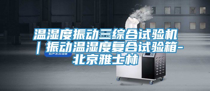 溫濕度振動(dòng)三綜合試驗(yàn)機(jī)｜振動(dòng)溫濕度復(fù)合試驗(yàn)箱-北京雅士林