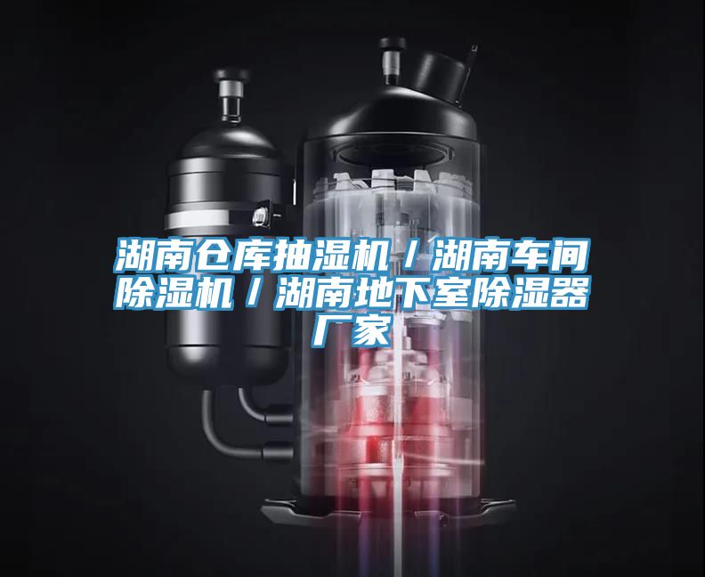 湖南倉(cāng)庫(kù)抽濕機(jī)／湖南車(chē)間除濕機(jī)／湖南地下室除濕器廠家