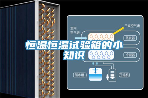恒溫恒濕試驗(yàn)箱的小知識(shí)
