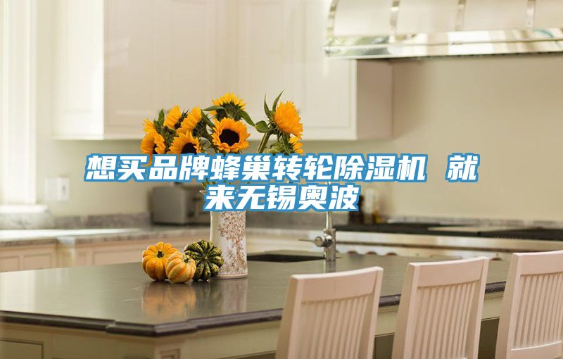 想買品牌蜂巢轉(zhuǎn)輪除濕機 就來無錫奧波