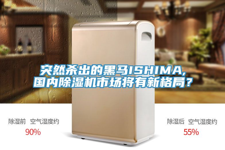 突然殺出的黑馬ISHIMA,國內(nèi)除濕機(jī)市場(chǎng)將有新格局？