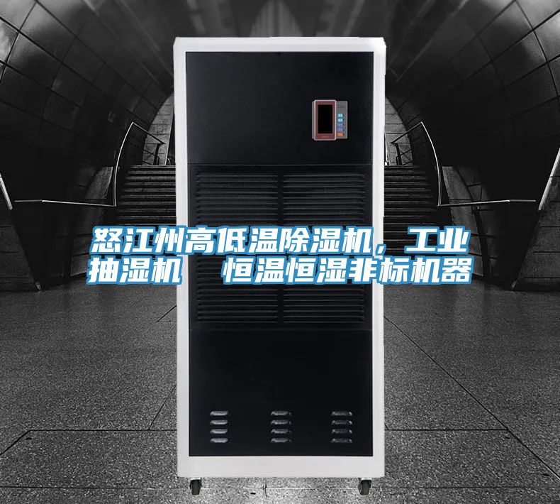怒江州高低溫除濕機(jī)，工業(yè)抽濕機(jī)  恒溫恒濕非標(biāo)機(jī)器
