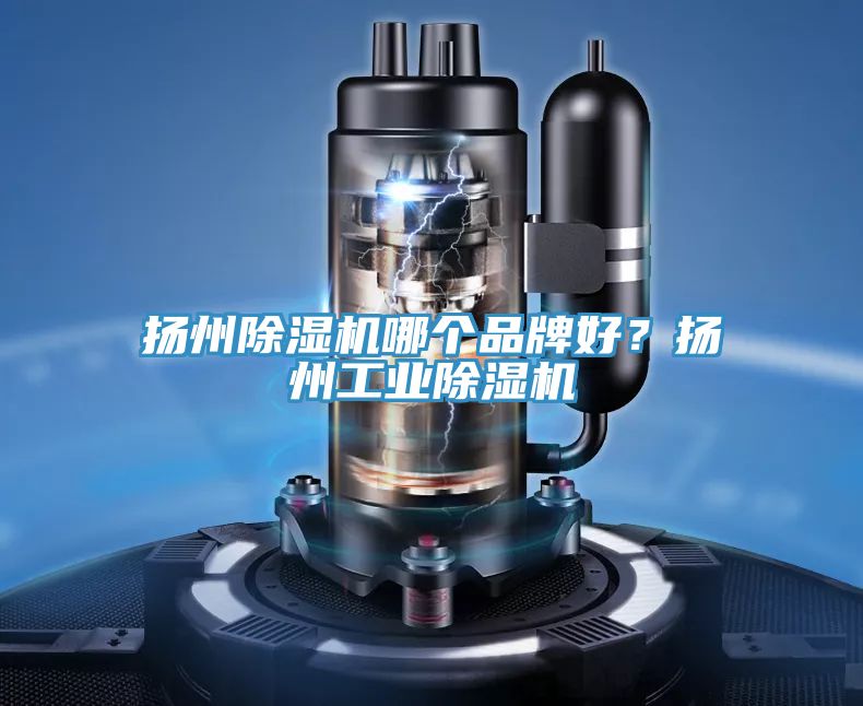 揚(yáng)州除濕機(jī)哪個(gè)品牌好？揚(yáng)州工業(yè)除濕機(jī)