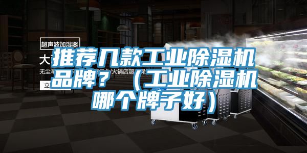 推薦幾款工業(yè)除濕機品牌？（工業(yè)除濕機哪個牌子好）