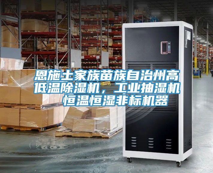 恩施土家族苗族自治州高低溫除濕機(jī)，工業(yè)抽濕機(jī)  恒溫恒濕非標(biāo)機(jī)器