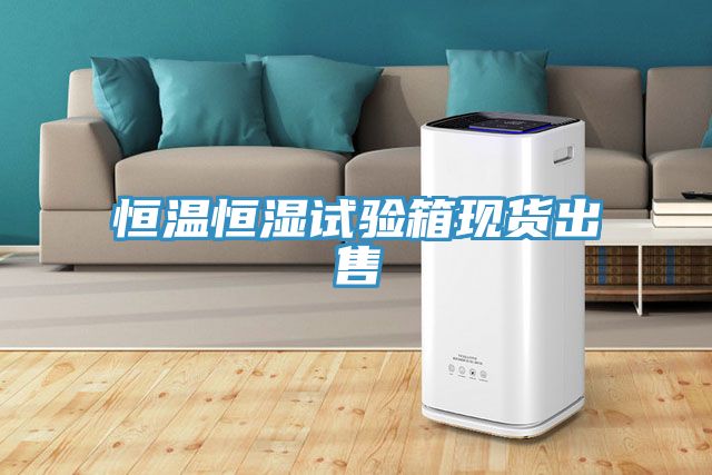 恒溫恒濕試驗箱現(xiàn)貨出售