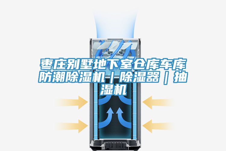 棗莊別墅地下室倉庫車庫防潮除濕機｜除濕器｜抽濕機