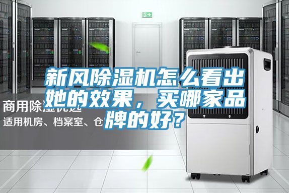 新風(fēng)除濕機(jī)怎么看出她的效果，買哪家品牌的好？