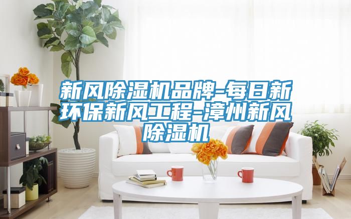 新風(fēng)除濕機(jī)品牌-每日新環(huán)保新風(fēng)工程-漳州新風(fēng)除濕機(jī)