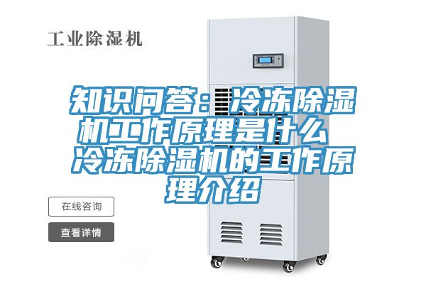 知識(shí)問(wèn)答：冷凍除濕機(jī)工作原理是什么 冷凍除濕機(jī)的工作原理介紹
