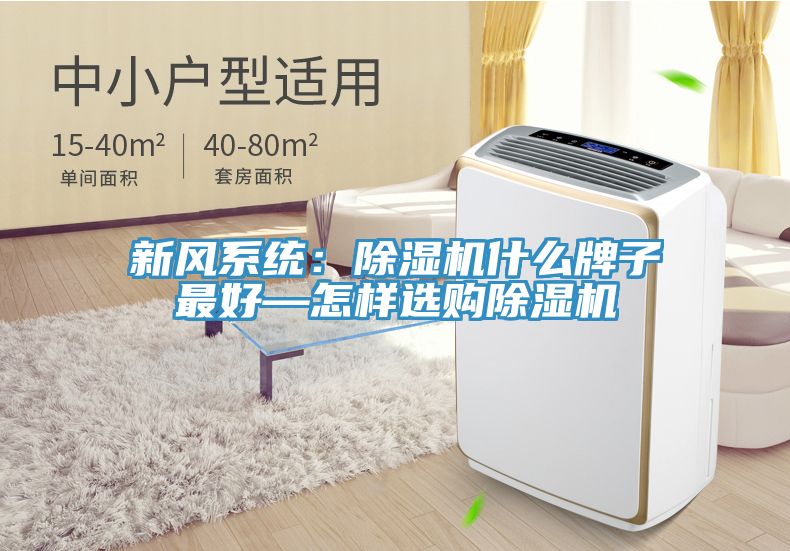新風(fēng)系統(tǒng)：除濕機(jī)什么牌子最好—怎樣選購除濕機(jī)
