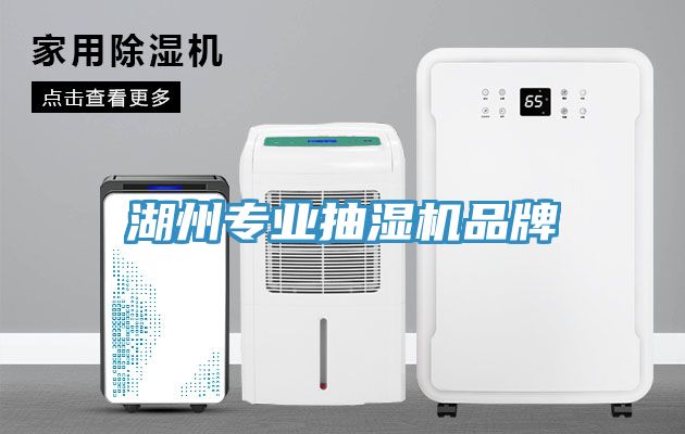 湖州專業(yè)抽濕機品牌