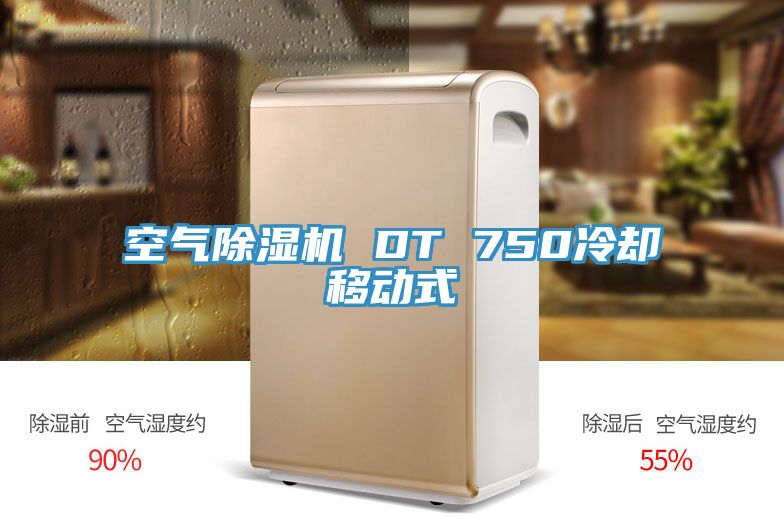 空氣除濕機 DT 750冷卻移動式