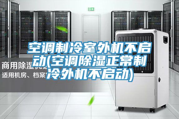 空調(diào)制冷室外機不啟動(空調(diào)除濕正常制冷外機不啟動)