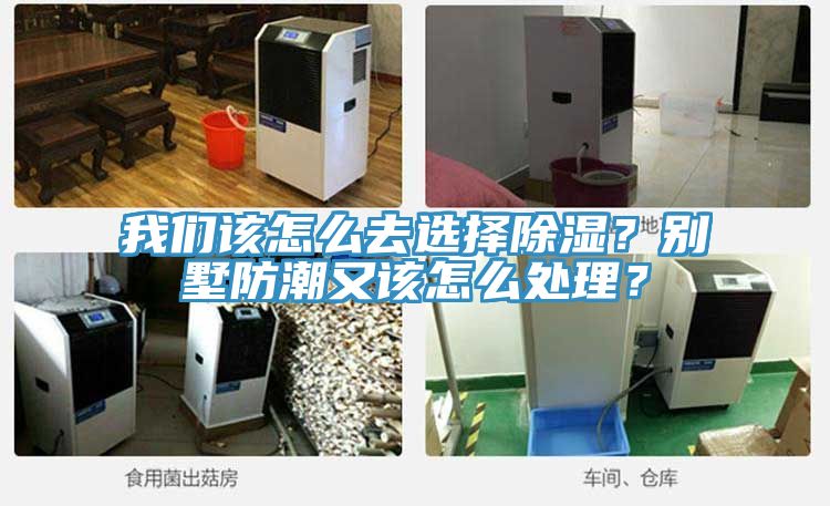 我們該怎么去選擇除濕？別墅防潮又該怎么處理？
