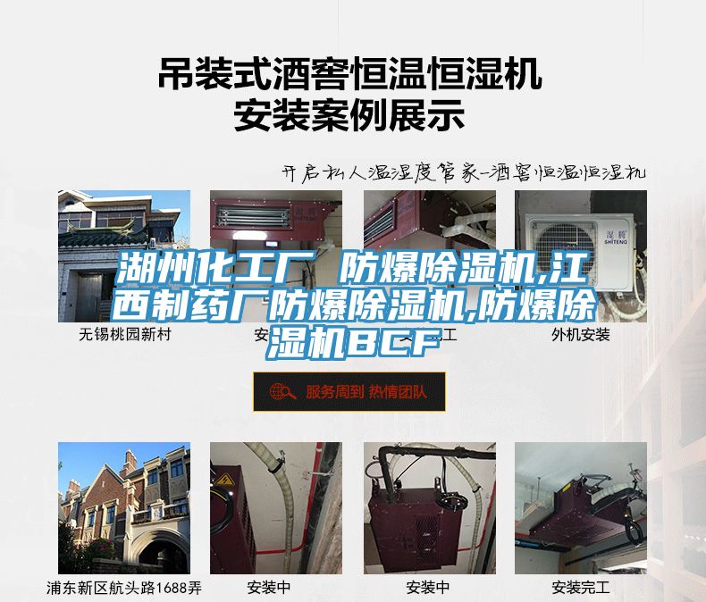 湖州化工廠 防爆除濕機,江西制藥廠防爆除濕機,防爆除濕機BCF
