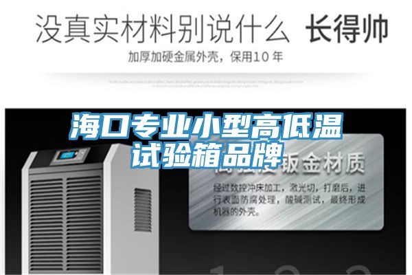 ?？趯I(yè)小型高低溫試驗(yàn)箱品牌