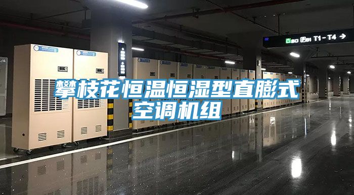 攀枝花恒溫恒濕型直膨式空調(diào)機組