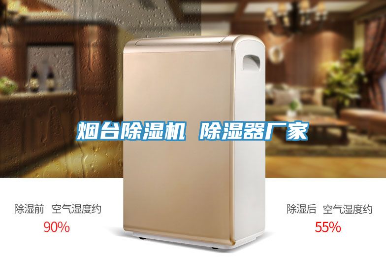 煙臺除濕機(jī) 除濕器廠家