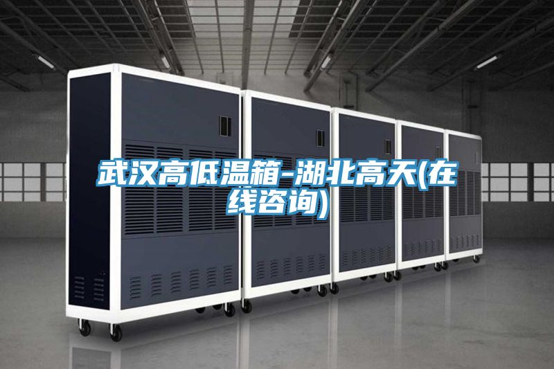 武漢高低溫箱-湖北高天(在線咨詢)
