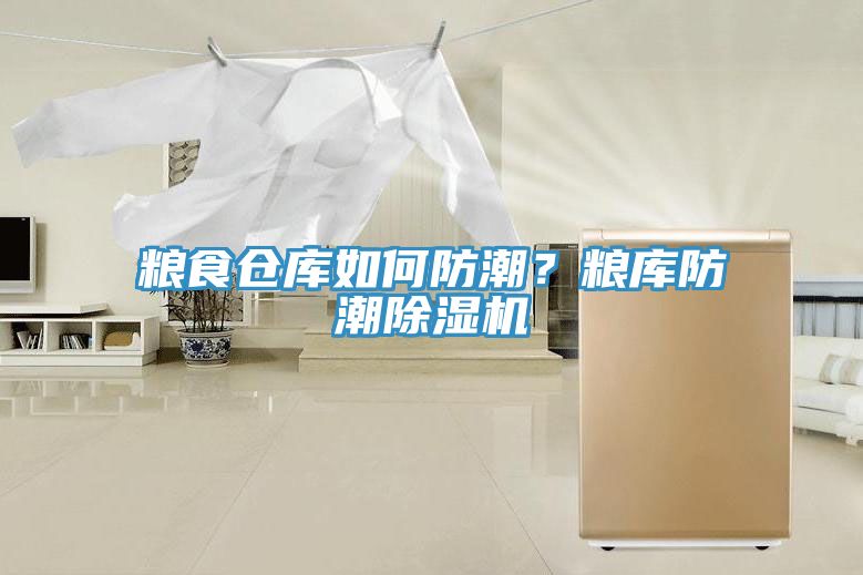 糧食倉(cāng)庫(kù)如何防潮？糧庫(kù)防潮除濕機(jī)