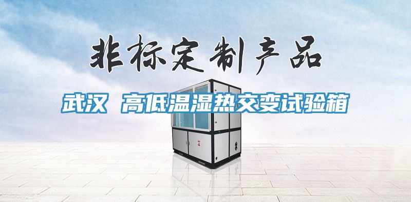 武漢 高低溫濕熱交變?cè)囼?yàn)箱
