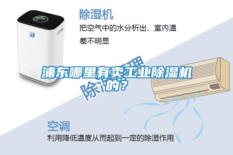 浦東哪里有賣工業(yè)除濕機(jī)的？