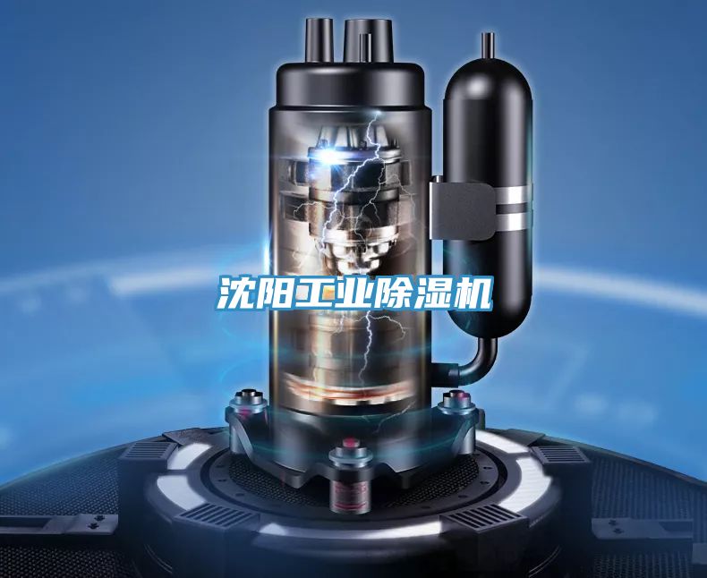 沈陽工業(yè)除濕機(jī)