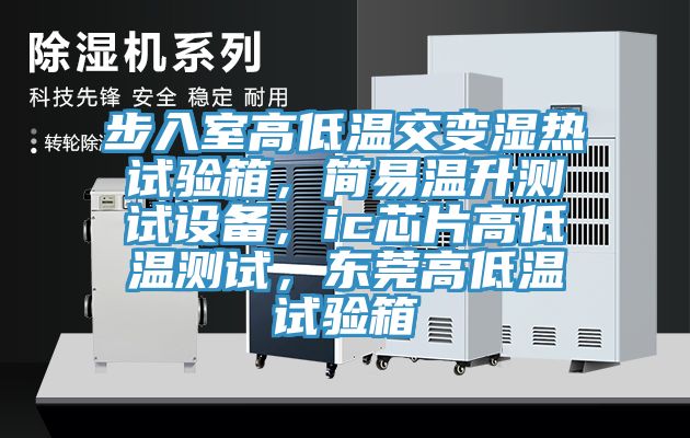 步入室高低溫交變濕熱試驗箱，簡易溫升測試設(shè)備，ic芯片高低溫測試，東莞高低溫試驗箱