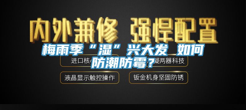 梅雨季“濕”興大發(fā) 如何防潮防霉？