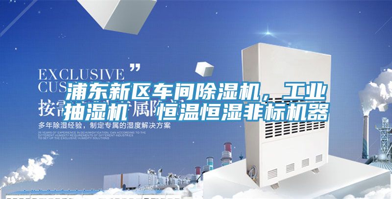 浦東新區(qū)車間除濕機(jī)，工業(yè)抽濕機(jī)  恒溫恒濕非標(biāo)機(jī)器