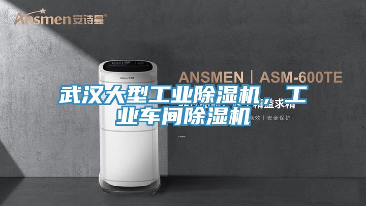 武漢大型工業(yè)除濕機(jī)，工業(yè)車間除濕機(jī)