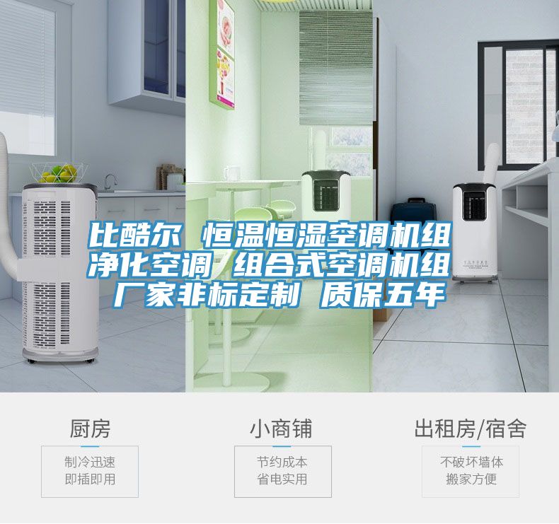 比酷爾 恒溫恒濕空調(diào)機組 凈化空調(diào) 組合式空調(diào)機組 廠家非標定制 質(zhì)保五年