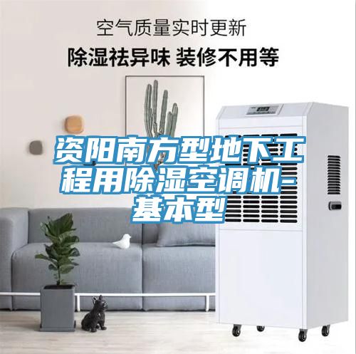 資陽(yáng)南方型地下工程用除濕空調(diào)機(jī)-基本型