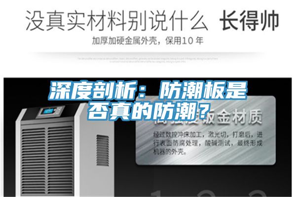 深度剖析：防潮板是否真的防潮？