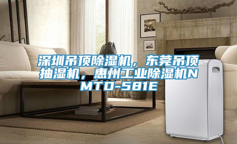 深圳吊頂除濕機，東莞吊頂抽濕機，惠州工業(yè)除濕機NMTD-581E