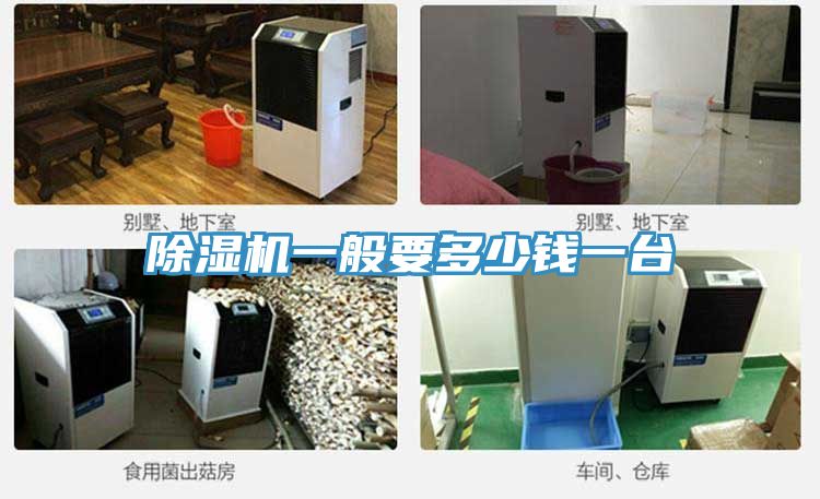 除濕機一般要多少錢一臺